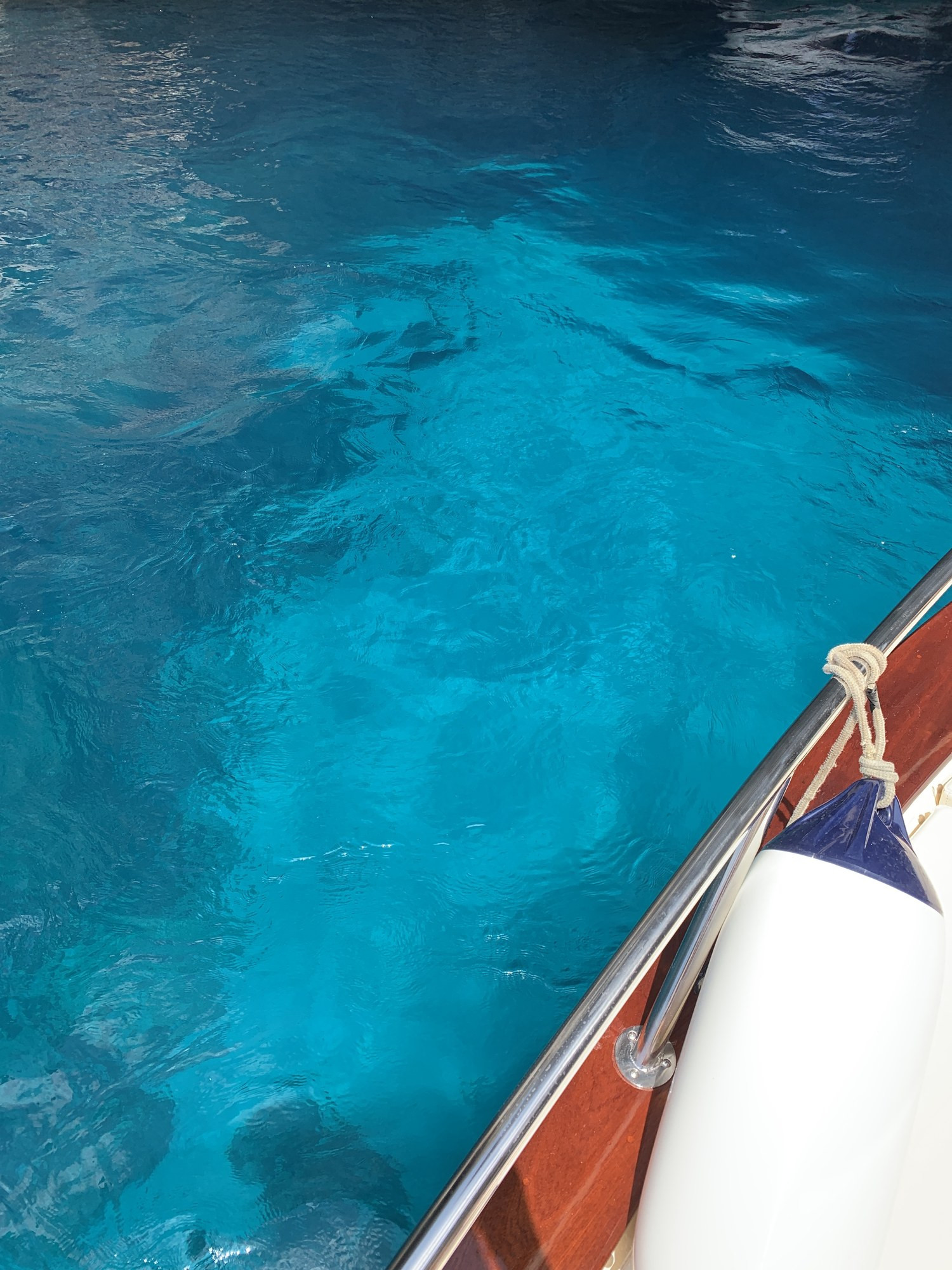 Guest photo 9